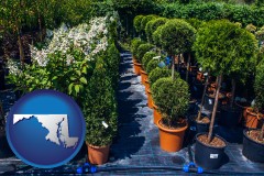 maryland map icon and shrubs and trees at a nursery