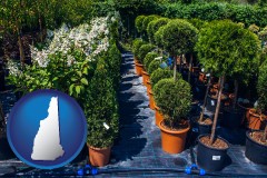 new-hampshire shrubs and trees at a nursery