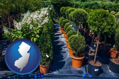 new-jersey map icon and shrubs and trees at a nursery