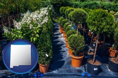 new-mexico shrubs and trees at a nursery