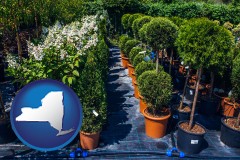 new-york map icon and shrubs and trees at a nursery