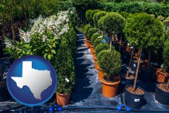 texas map icon and shrubs and trees at a nursery