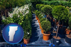vermont shrubs and trees at a nursery