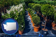 washington map icon and shrubs and trees at a nursery