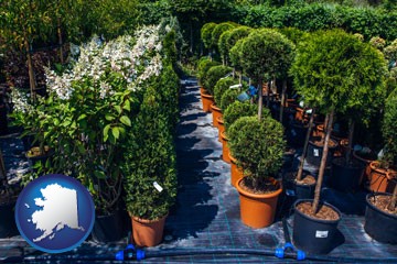 shrubs and trees at a nursery - with Alaska icon