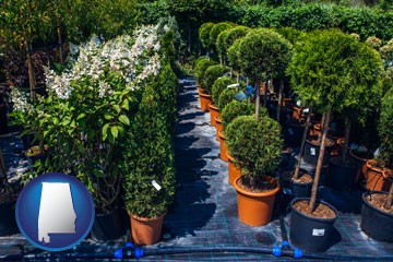 shrubs and trees at a nursery - with Alabama icon