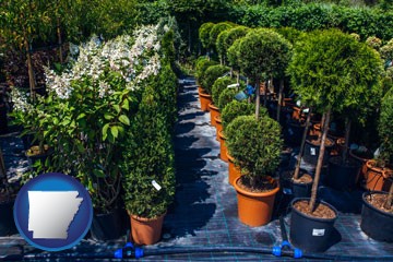 shrubs and trees at a nursery - with Arkansas icon