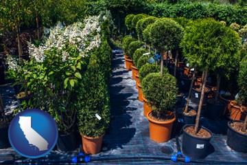 shrubs and trees at a nursery - with California icon