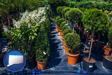shrubs and trees at a nursery - with Connecticut icon