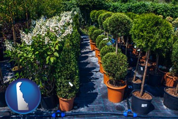 shrubs and trees at a nursery - with Delaware icon