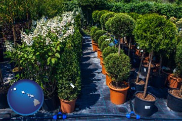 shrubs and trees at a nursery - with Hawaii icon