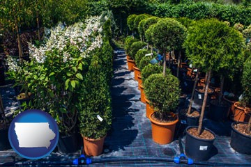 shrubs and trees at a nursery - with Iowa icon