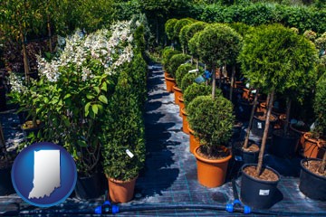 shrubs and trees at a nursery - with Indiana icon