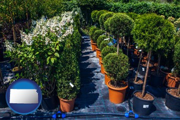 shrubs and trees at a nursery - with Kansas icon