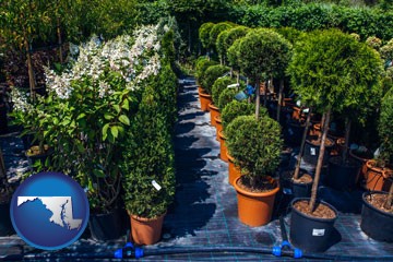 shrubs and trees at a nursery - with Maryland icon