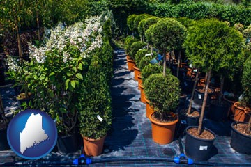 shrubs and trees at a nursery - with Maine icon