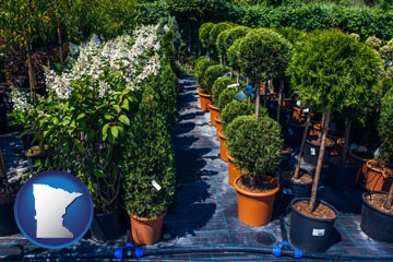 shrubs and trees at a nursery - with Minnesota icon