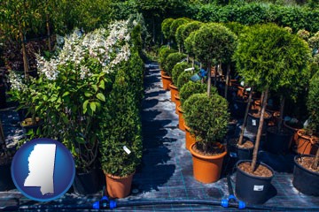 shrubs and trees at a nursery - with Mississippi icon