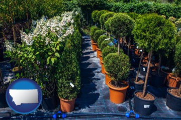 shrubs and trees at a nursery - with Montana icon