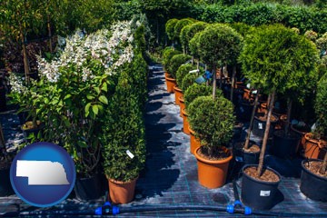 shrubs and trees at a nursery - with Nebraska icon