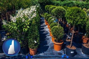 shrubs and trees at a nursery - with New Hampshire icon