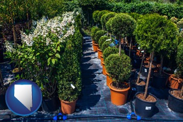 shrubs and trees at a nursery - with Nevada icon