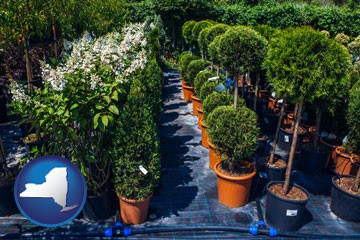 shrubs and trees at a nursery - with New York icon