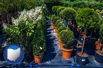 shrubs and trees at a nursery - with Ohio icon