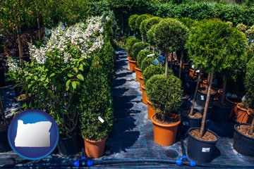 shrubs and trees at a nursery - with Oregon icon
