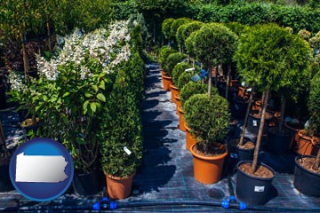shrubs and trees at a nursery - with Pennsylvania icon