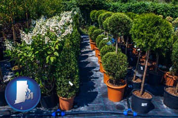 shrubs and trees at a nursery - with Rhode Island icon