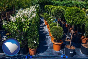 shrubs and trees at a nursery - with South Carolina icon
