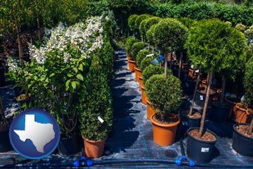 shrubs and trees at a nursery - with Texas icon