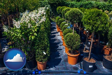 shrubs and trees at a nursery - with Virginia icon