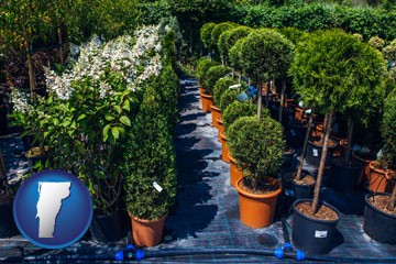 shrubs and trees at a nursery - with Vermont icon