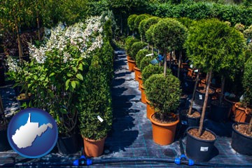 shrubs and trees at a nursery - with West Virginia icon