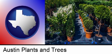 shrubs and trees at a nursery in Austin, TX