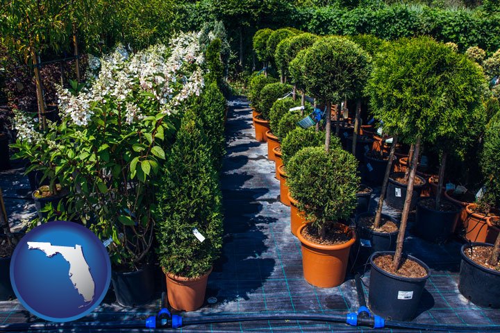 Plants & Trees Retail Nurseries in Florida