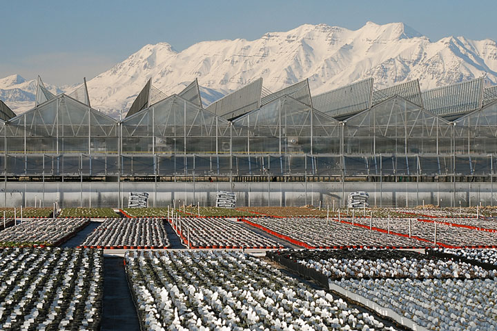 plant nursery greenhouse in Utah